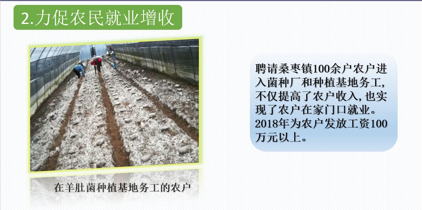 &#24320;&#20803;&#32593;&#31449;&#30331;&#24405;&#20837;&#21475;&#95;&#24320;&#20803;&#65288;&#20013;&#22269;&#65289;